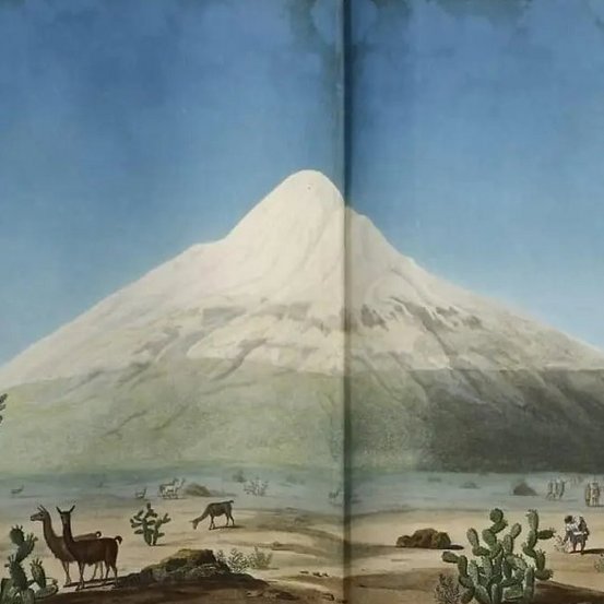 Abbildung von historischer Buchsammlung Alexander von Humboldts