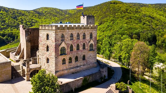 Bild zum Artikel: "Stiftung Orte der deutschen Demokratiegeschichte"