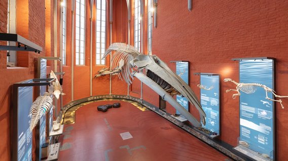 Bild zum Artikel: "Leuchtturm deutscher Museumskultur"