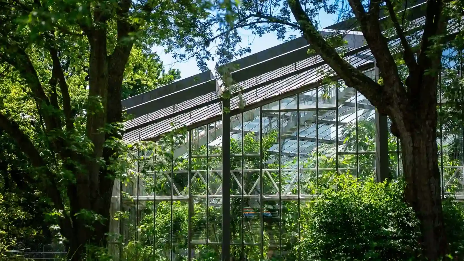 Schaugew&auml;chsh&auml;user in Planten un Blomen in Hamburg