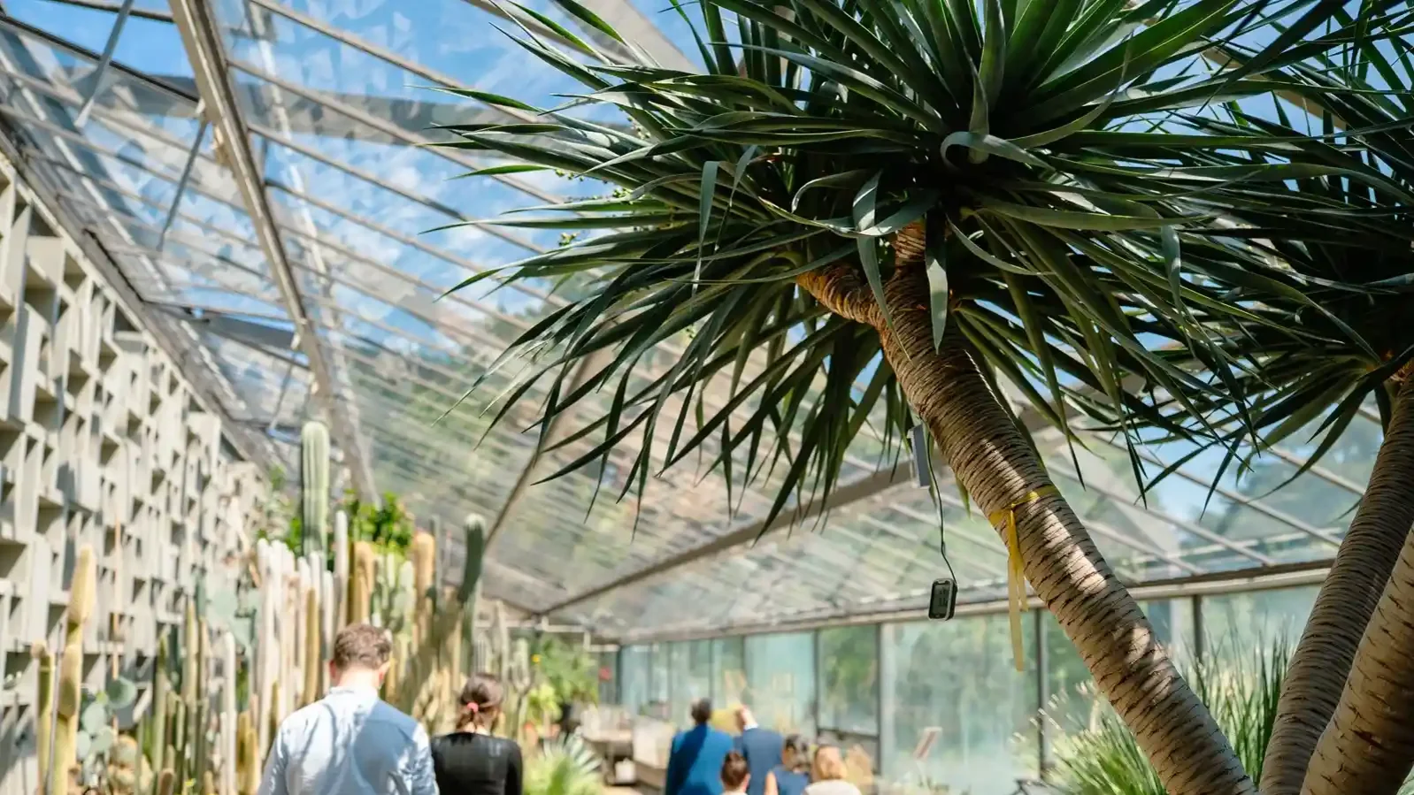 Schaugew&auml;chsh&auml;user im ehemaligen Botanischen Garten