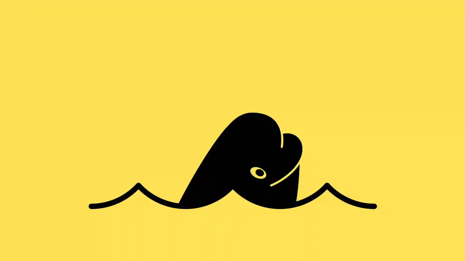 Illustration Wal auf gelbem Hintergrund