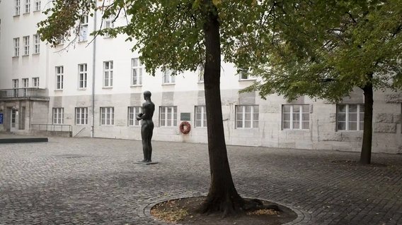 Bild zum Artikel: "Weimer: Demokratie schützen und verteidigen"