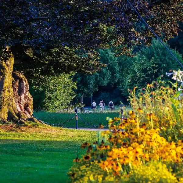 Der blühende Herrengarten im sommerlichen Abendlicht.