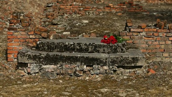 Eine rote Rose auf den Stufen einer ehemaligen Baracke in der Gedenkstätte Auschwitz-Birkenau gedenkt den hier ermordeten Sinti und Roma